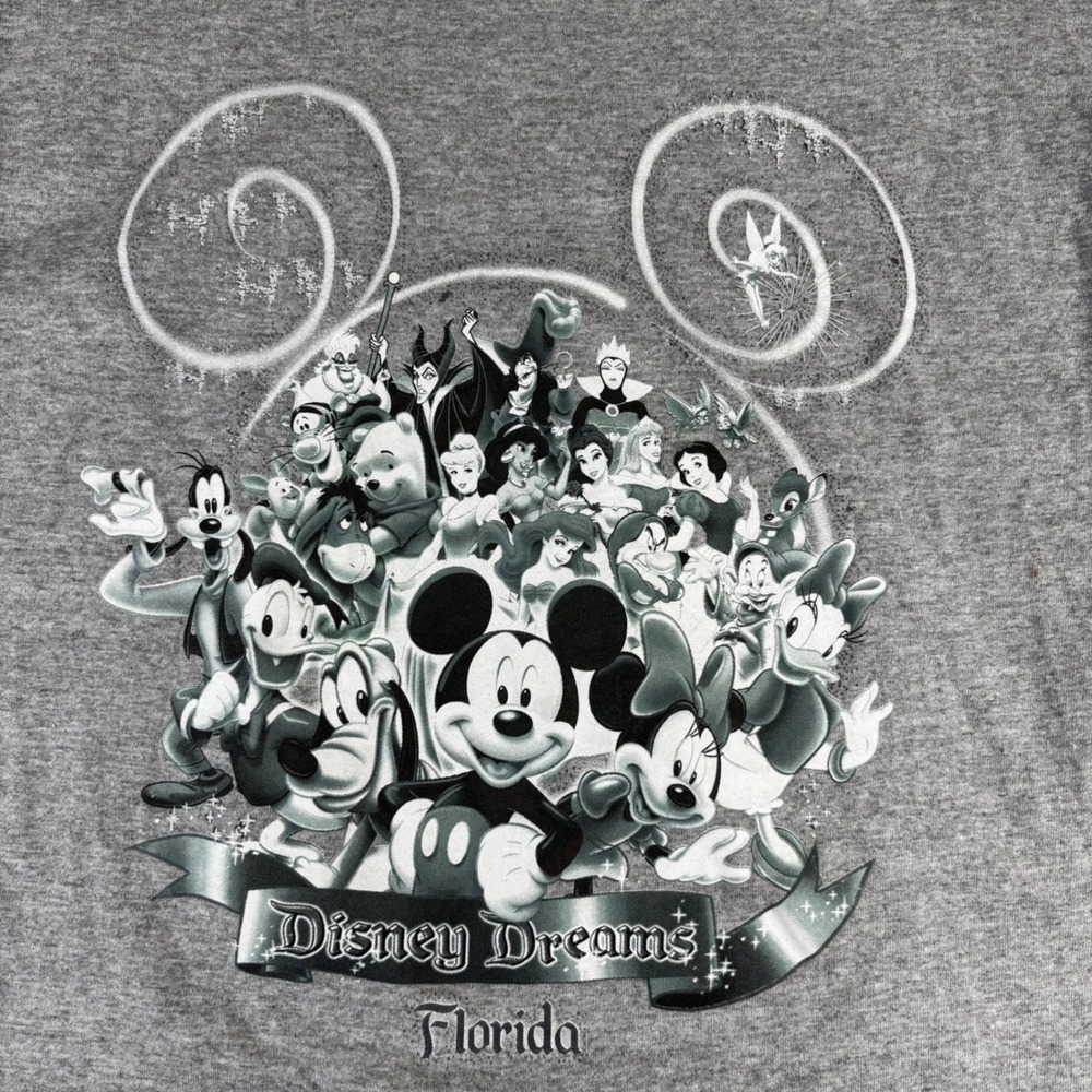 Disney Dreams Florida Graphic T-Shirt Women Medium Gray Character Art USA - Picture 2 of 7